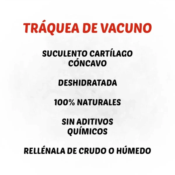 Traquea de vacuno - Barfood - Imagen 2