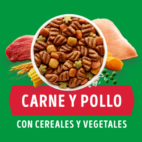 Dog Chow Adulto 24 KG - Imagen 4
