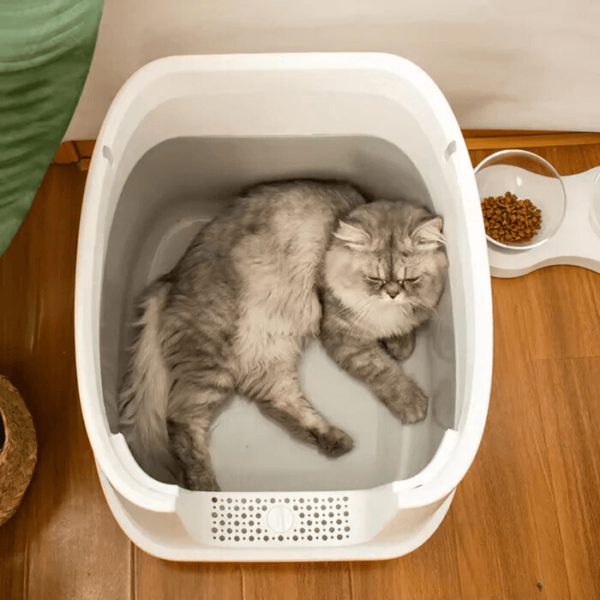 Caja De Arena Para Gatos Cerrada, Grande Premium - Imagen 5