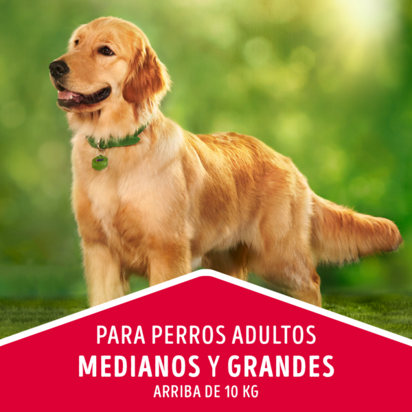 Dog Chow Adulto 24 KG - Imagen 2