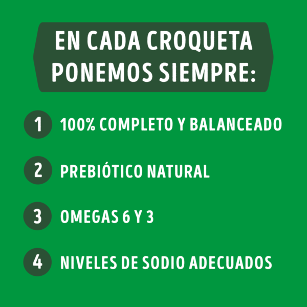 Dog Chow Adulto 24 KG - Imagen 5