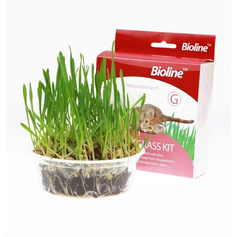 Kit De Pasto Para Gatos Bioline 12g
