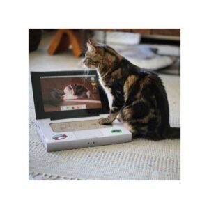 BRNX RASCADOR CATBOOK/COMPUTADOR