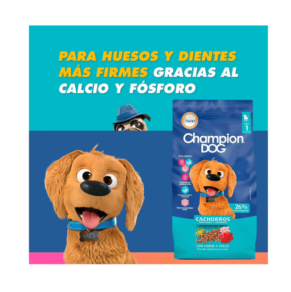 CHAMPION DOG CACHORRO 8KG - Imagen 2